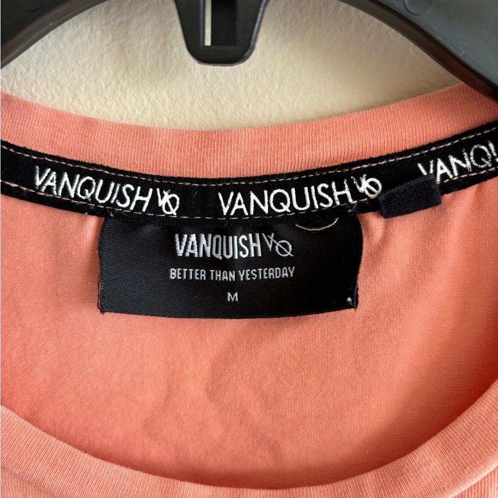 Vanquish FitnessVQ Fijique Bodybuilding two T-shirt for Men 95%cotton - Picture 11 of 14